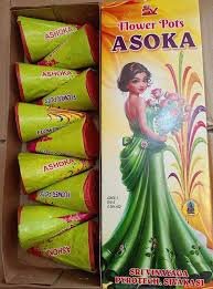 Flower Pots Asoka (அசோகா பூச்சட்டி)